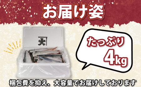 訳あり 国産 無塩 サバ 4kg 【12月以降発送】 サバ