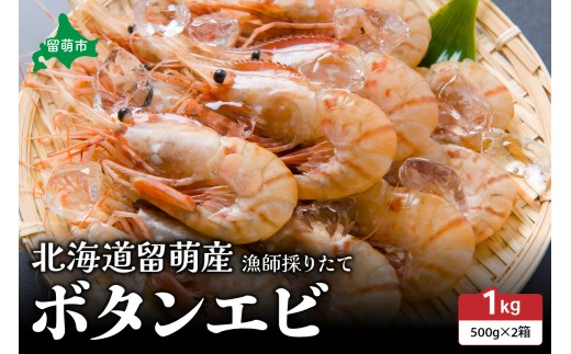 北海道留萌産　漁師採りたてボタンエビ500g×2　R006-019