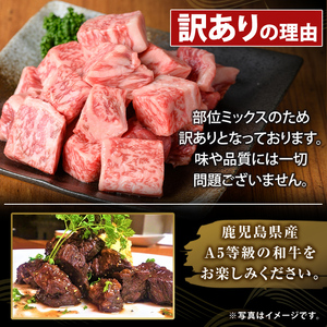 K-475-A ＜訳あり＞鹿児島県産黒毛和牛A5等級サイコロステーキ(計400g) 【ふるさと産直バザール】霧島市 不揃い サイコロ ステーキ 牛肉 国産 鹿児島県産 肉 精肉