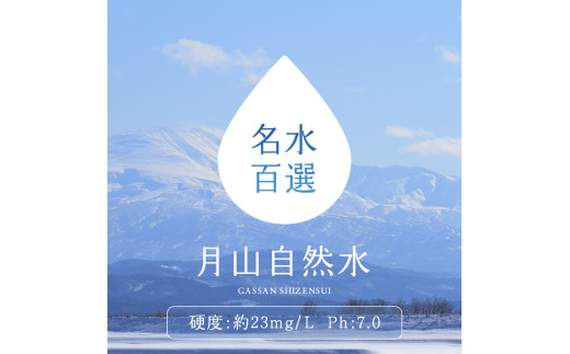 FYN9-015 月山自然水2L×6本×2箱 天然水 国産 備蓄 防災 保存 ペットボトル ナチュラル 山形県 西川町