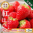 【ふるさと納税】【定期便3回】自宅用 いちご 紅ほっぺ 600-700g ×3回 [しあわせ苺] サイズ バラバラ 訳あり 訳アリ 農園直送 [mt196]｜フルーツ スイーツ 苺 イチゴ 人気 簡易梱包 家庭用 産地直送 いちご 激甘 岐阜県 本巣市 3万 2024年 - 2025年 先行予約