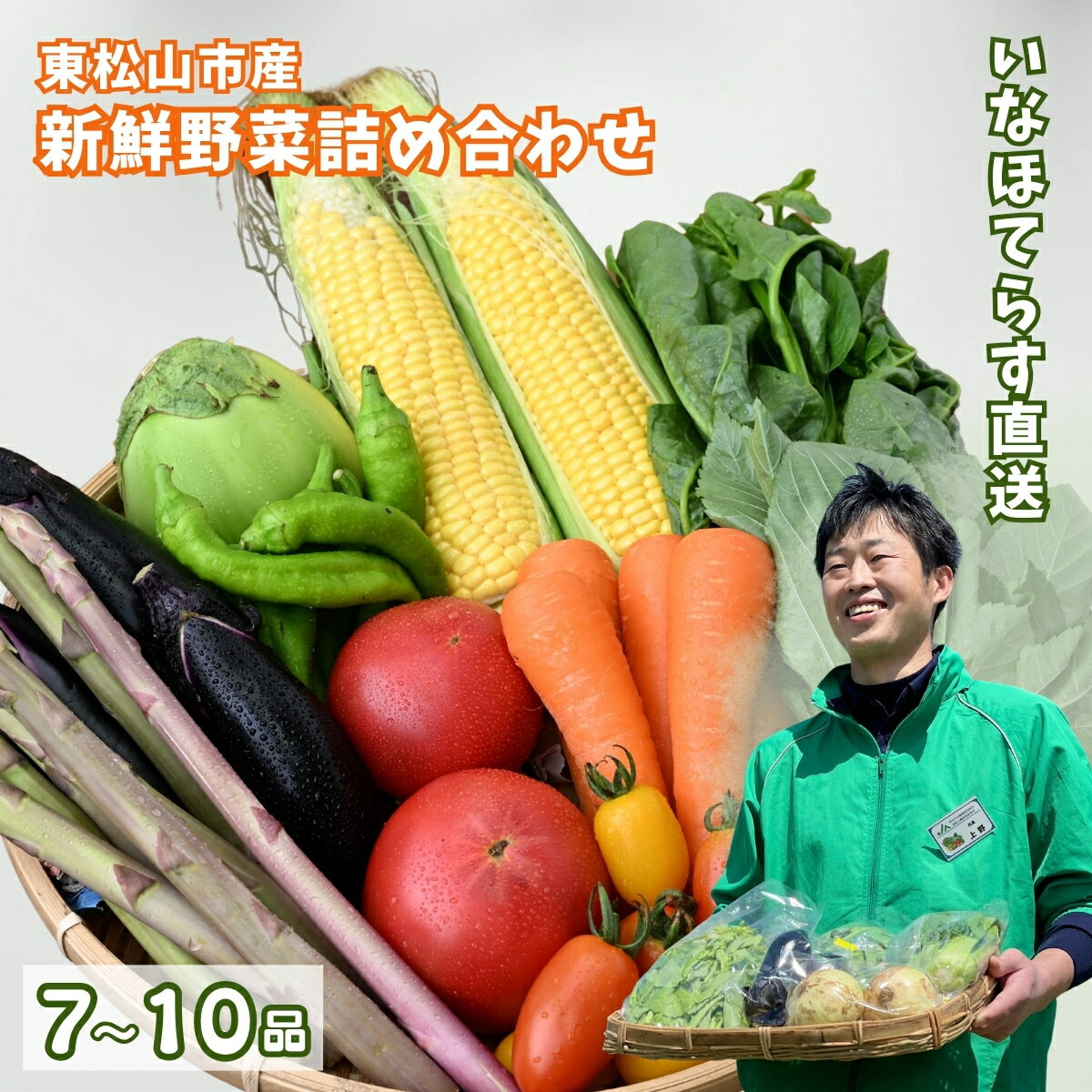 【ふるさと納税】季節の野菜詰合せセット 7~10品 | 野菜 野菜セット 詰め合わせ 季節 旬 新鮮野菜 かぶ レタス キャベツ のらぼう菜 トマト オクラ 玉ねぎ ニンニク きゅうり ナス ニンジン ネギ ズッキーニ インゲン バラエティ バラエティセット おいしい 埼玉県 東松山市