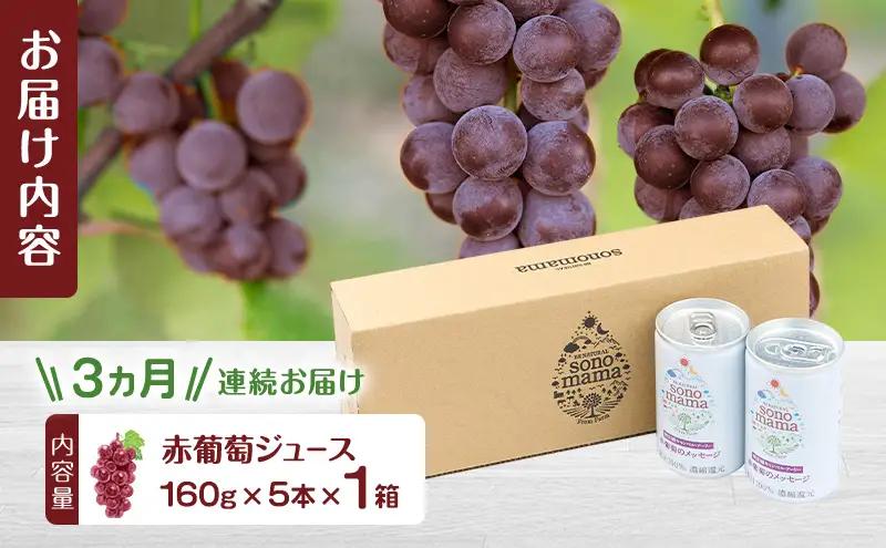 《 定期便 3ヵ月 》 赤葡萄ジュース「sonomama」（160g×5本）×1箱 ぶどう ブドウ ジュース ぶどうジュース 飲料