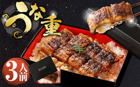 うな重 （上） 3人前 鰻 ウナギ 鰻重 うなぎの蒲焼 鰻の蒲焼 蒲焼き タレ うなぎのタレ 山椒 ごはん ご飯 国産