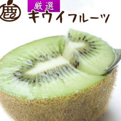ふるさと納税 紀美野町 厳選 キウイ1kg+250g(傷み補償分)【扁平果】