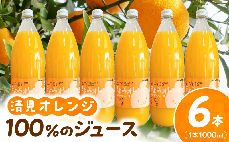 
                  【数量限定】清見オレンジ１００％のジュース(ストレート)　1,000ml×6本セット_AB8350
                