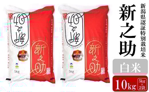 【令和6年産米】新之助 白米 10kg（5kg×2袋）新潟県認証特別栽培米 お米 新潟県産 アグリーホンマ[Y0368]