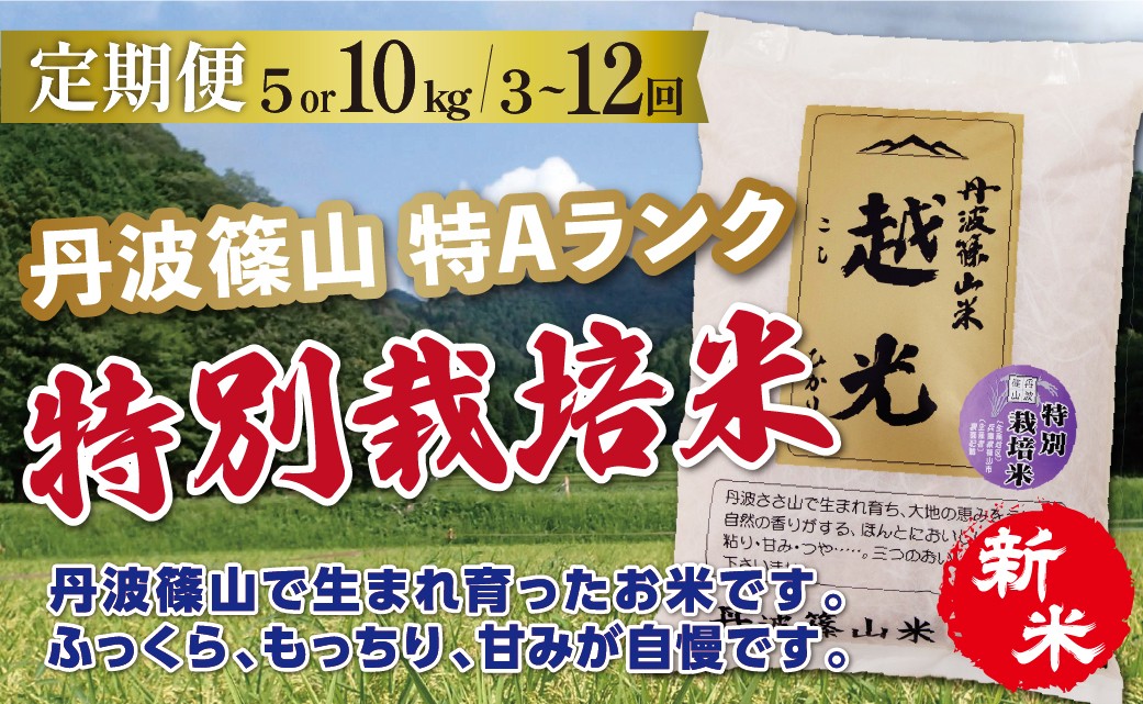 
                  〈定期便 選べる容量と回数 特A 減農薬〉新米 令和8年産 丹波篠山産 特別栽培米 コシヒカリ 越光  【5kg 10kg 3回 6回 12回】  | 丹波篠山 お米 おこめ ブランド米 ごはん ご飯 白米 米 コメ こめ 精米 精白米 おいしい米 美味しいお米 兵庫県 お取り寄せ こしひかり コシヒカリ
                