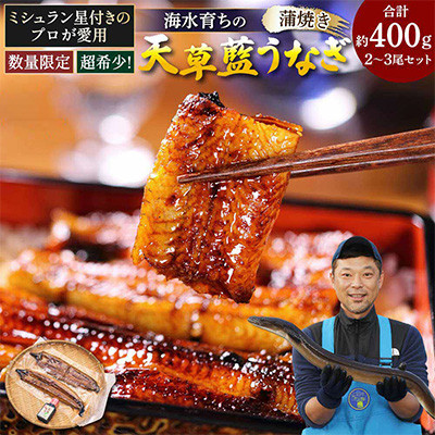 【毎月定期便】希少!数量限定!海水育ちの天草藍うなぎ 蒲焼き2～3尾セット全2回【配送不可地域：離島】【4056946】