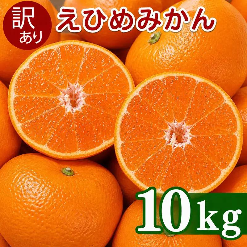 【先行予約】訳あり 愛媛みかん 10kg 傷み補償 500g 清家ばんかんビレッジ