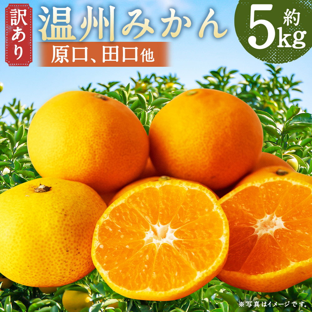 【ふるさと納税】【訳あり】 長崎県時津町産 温州みかん（原口、田口他） 計約5kg 2L～3Lサイズ ミカン 蜜柑 くだもの 果物 果実 フルーツ 長崎県産 国産 九州 長崎県 時津町 送料無料 【年内発送：2025年11月下旬～12月下旬迄発送予定】