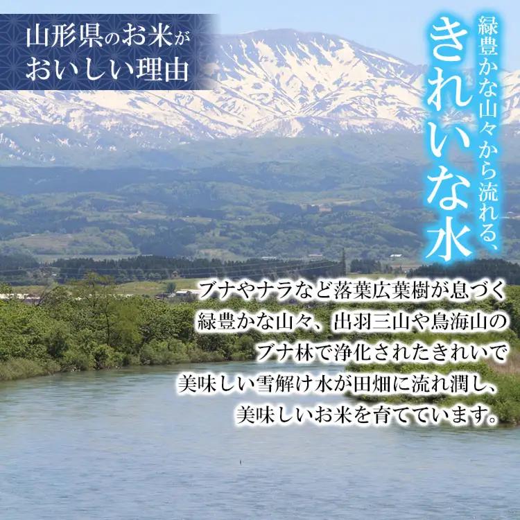 【令和7年産】はえぬき 玄米 5kg (5kg×1袋)　山形県産 SDGs未来都市鶴岡 エコ包装
