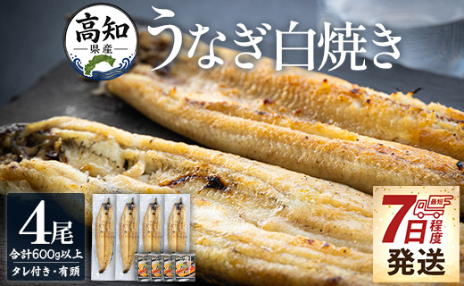 うなぎ白焼 4尾 高知県産うなぎの白焼き 150～180ｇ×4尾 - エコ包装 国産 うなぎ 白焼き 鰻 冷凍 高知 yw-0116