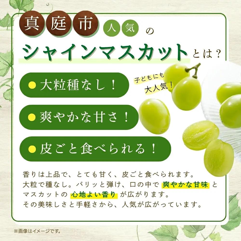シャインマスカット 岡山県産ぶどう シャインマスカット約2kg（3～4房） 【hana016-02】