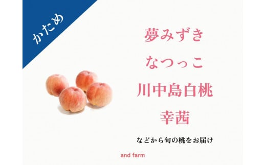 【2025年先行予約】【かため桃】桃好き必見！桃のリレーが楽しめる！季節の【桃】おうち用（もも）お試しセット 約2kg 約5~8玉 ALPDS002