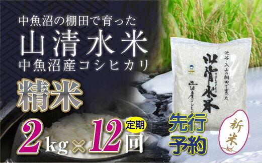 【ふるさと納税】【定期便／全12回】精米2kg　新潟県魚沼産コシヒカリ「山清水米」十日町市 米　お届け：寄附入金確認後、順次発送します。