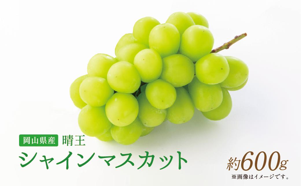 
            【岡山県産】 シャインマスカット 約600g 【2025年9月上旬〜11月下旬発送予定】 ／ ぶどう ブドウ 葡萄 マスカット 種なし 種無し フルーツ 果物 くだもの 果実
          