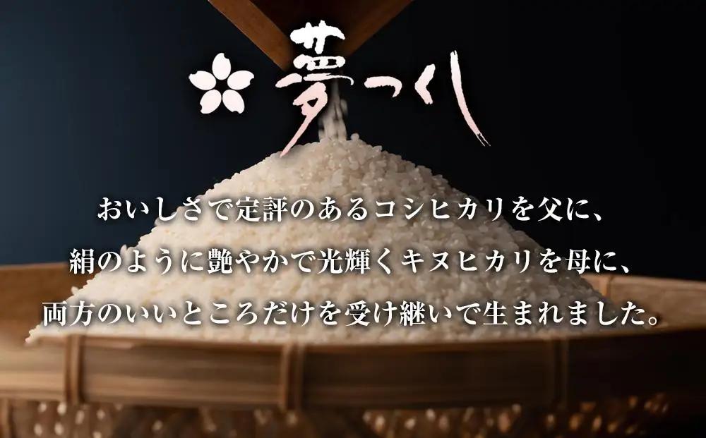 お米 夢つくし 玄米 PREMIUMパック 160g×24パック | パックご飯 パックごはん 玄米パック 非常食 保存食 福岡県産