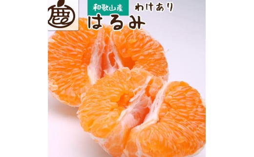 ＜2月より発送＞家庭用 はるみ4kg+120g（傷み補償分）【デコポンの姉妹品種・新食感春みかん】【光センサー選別】【わけあり・訳あり】    BB010 