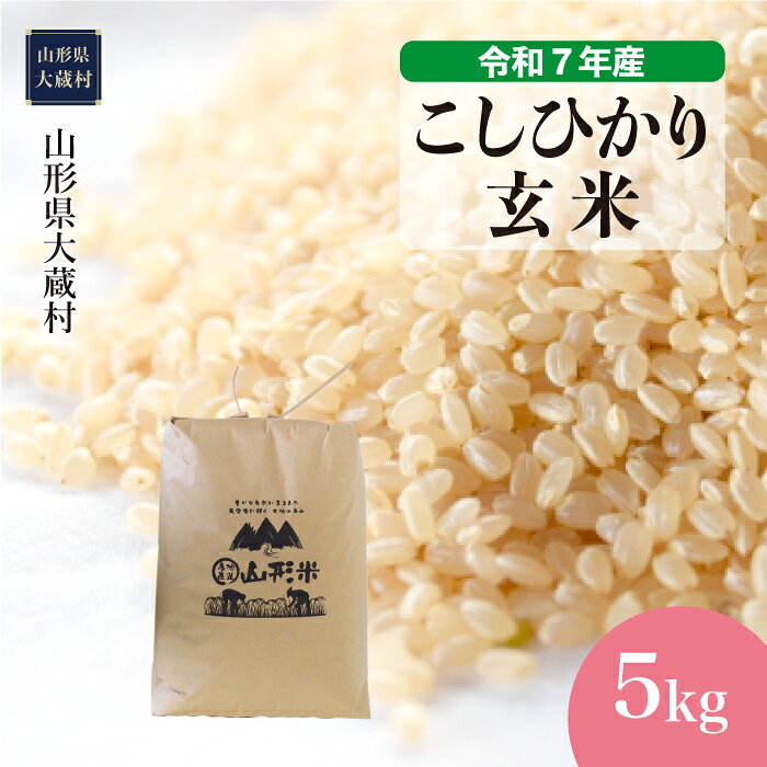 【ふるさと納税】＜令和7年産米＞ 大蔵村 コシヒカリ ＜玄米＞ 5kg（5kg×1袋）