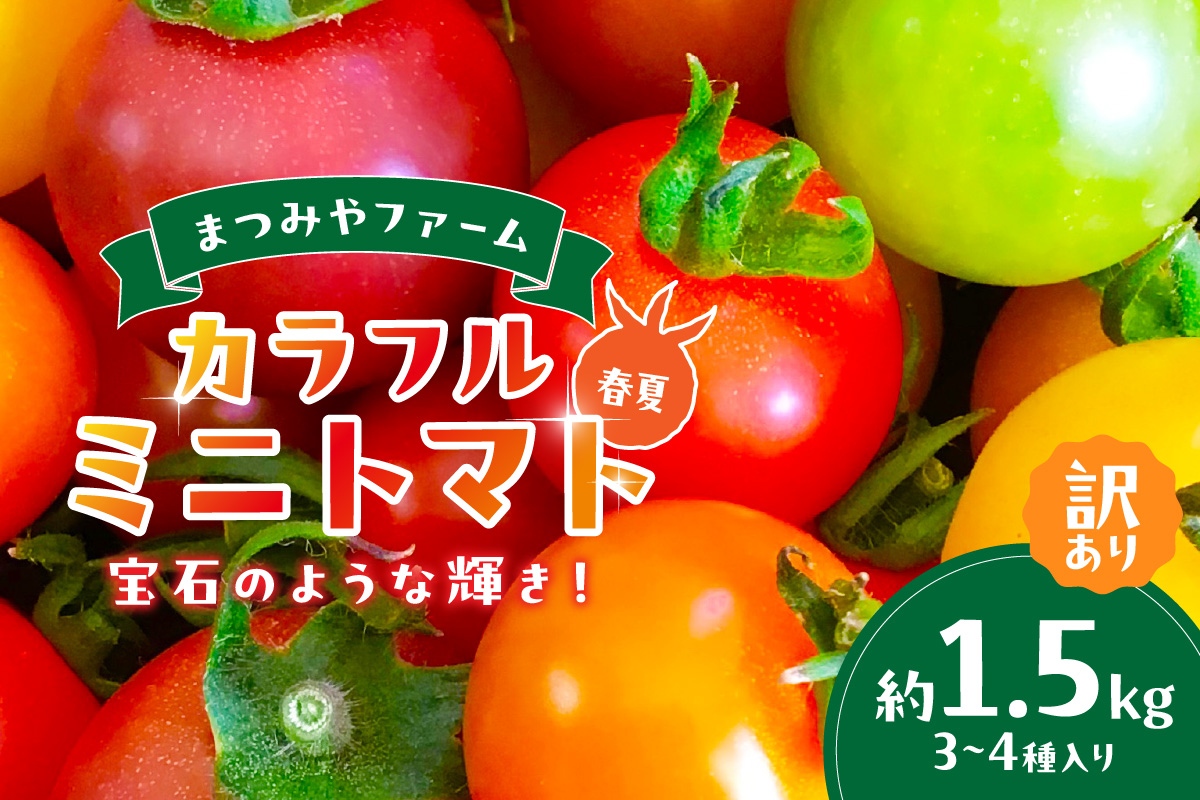【先行予約】訳あり 宝石のような輝き！カラフルミニトマト 約1.5kg（春夏）（2025年5月下旬～発送）