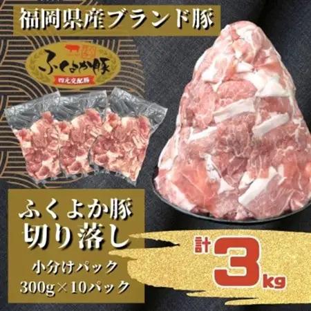 ふくよか豚切り落とし3.0kg(300g×10パック)【配送不可地域：離島】【1566236】