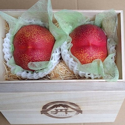 【ふるさと納税】【周りに差をつける贈り物】最高糖度25度比類なき絶対糖度シャトーネクタリン2025年8月中旬より発送【配送不可地域：離島・北海道・沖縄県・中国・四国・九州】【1468769】