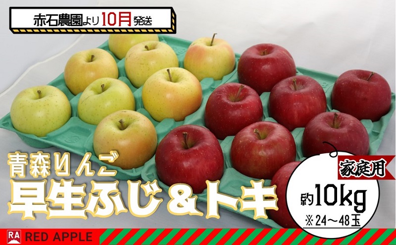 りんご 【 10月発送 】家庭用 早生ふじ ＆ トキ 約 10kg 【 弘前市産 青森りんご 】