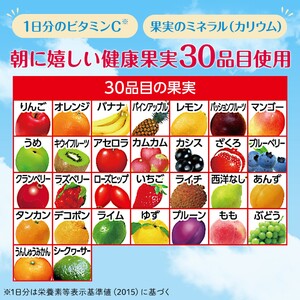 【 定期便 9ヶ月連続お届け 】カゴメ 朝のフルーツこれ一本 200ml×48本 果実ミックス飲料 30種の果実 1日分のビタミンC 1日分の果実 添加物不使用 砂糖不使用 食物繊維 植物性乳酸菌 果