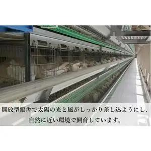 純国産鶏【さくら】純たまご30個入り 破損保証5個を含む【12ヶ月連続お届け】 (AJ030) 国産 卵 産地直送 飼料にこだわった 鶏卵