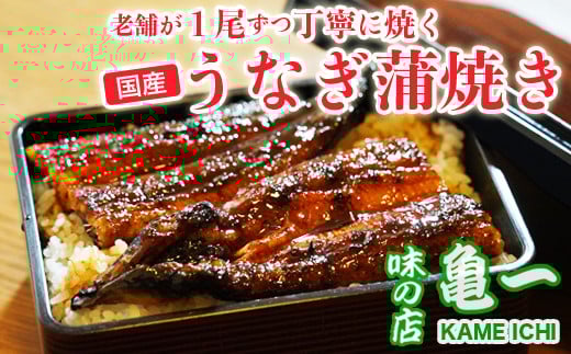 
手焼き うなぎ 蒲焼き 約120g× 2本 魚 鰻 冷凍 父の日 土用の丑の日 老舗 亀一 愛媛県 愛南町
