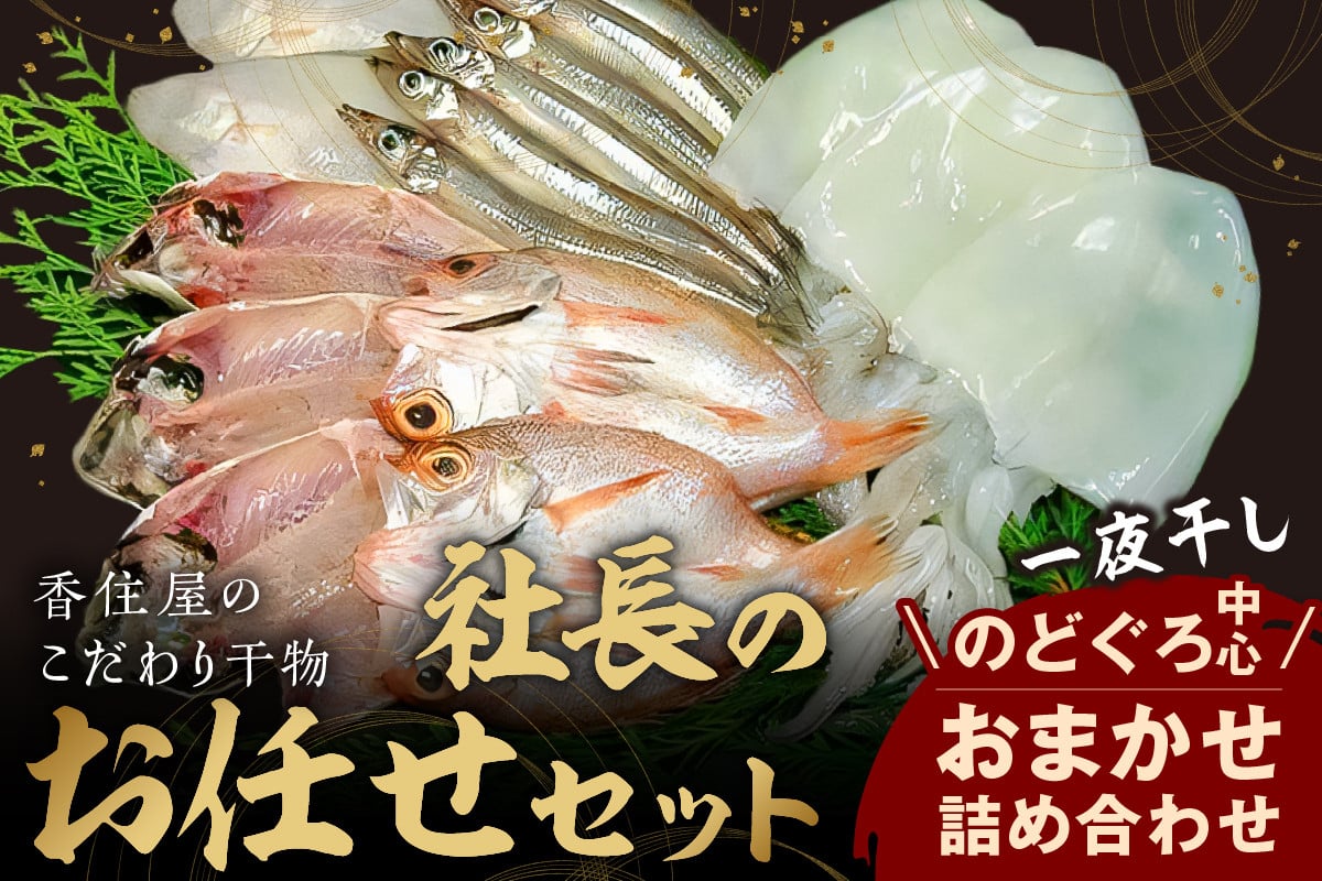 
            山陰浜田 香住屋のこだわり干物「社長のお任せセット」 魚介類 魚貝類 魚 干物 一夜干し セット 詰め合わせ ギフト 贈り物 【024_1988】
          