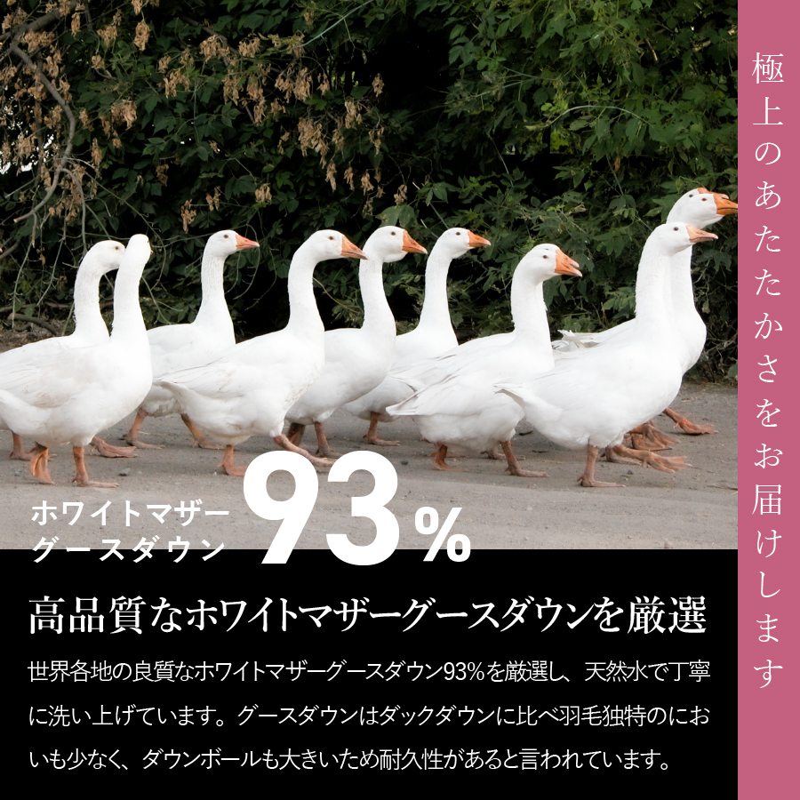 【甲州羽毛ふとん】ロイヤルグース93%抗菌・抗ウイルス加工羽毛肌掛けふとん（シングル/ホワイト）