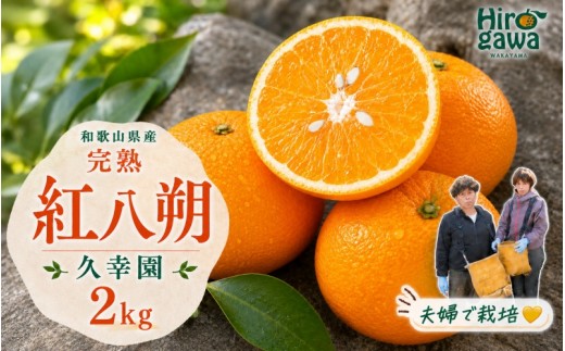 完熟 紅八朔 2kg 久幸園 / はっさく 甘い 和歌山 柑橘 ※4月上旬～5月上旬頃に順次発送予定 【hsk022-beni-2】