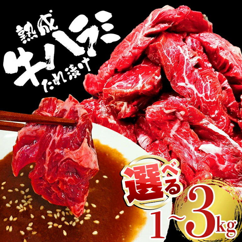 【ふるさと納税】＜選べる＞熟成 牛 ハラミ 1kg～3kg 味付け 味付け肉 小分け 冷凍 焼肉 焼き肉 牛 牛肉 肉 お肉 ビーフ お取り寄せ 茨城県 常陸大宮 【そうざい男しゃく（株式会社池延）】 【ho1468】【ho1469】【ho1470】