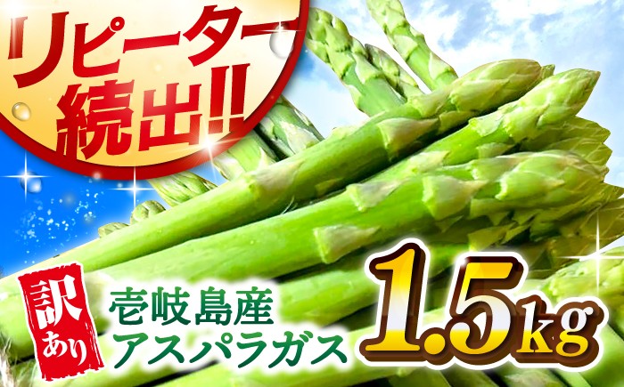
                  【訳あり】【先行予約】【アスパラガス専門農家が作る！】壱岐産 アスパラガス1.5kg【2026年8月以降順次発送】《壱岐市》【きたじま農園】アスパラ 国産 冷蔵配送 産地直送 朝採れ 新鮮 春の味覚 [JGI005] 10000 10000円 1万円
                