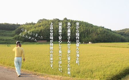 【定期便6ヵ月】計30kg！令和7年度新米きぬむすめ  5kg×6か月定期便 お米 新米 精米 白米 弁当 ごはん ご飯 きぬむすめ