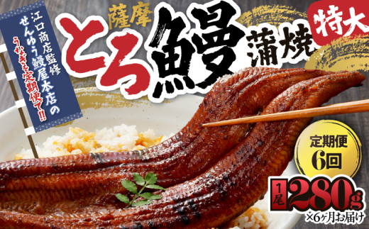 2173-1 【江口商店監修】薩摩とろ鰻蒲焼特大サイズ一尾 280g＜6ヶ月定期＞　KN084-T01
