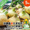 【ふるさと納税】【あさひサンファーム】【5kg】兵庫県認証★特別栽培★淡路島新たまねぎちょっと訳あり(サイズ不ぞろい、少し変形)