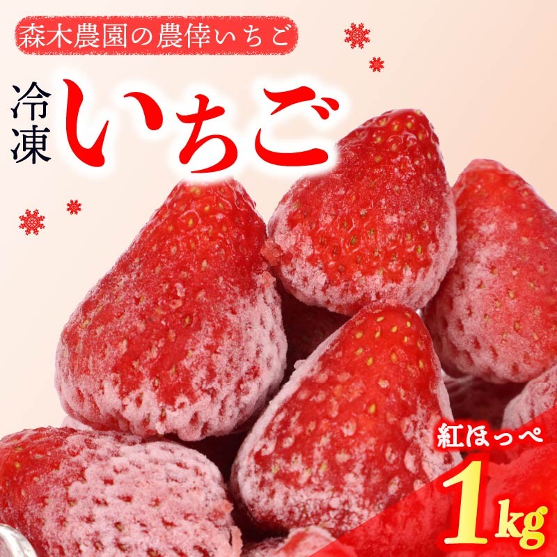 
            冷凍 いちご 苺 1kg 完熟  紅ほっぺ ヘタ取り いちご 静岡 限定 苺 冷凍いちご イチゴ 果物 スイーツ いちご 紅ほっぺ 冷凍イチゴ 牧之原市 デザート フルーツ スイーツ アイス ジャム シャーベット かき氷 イチゴ ベリー ストロベリー 氷菓 冷凍 甘い オススメ いちご ギフト 贈答 プレゼント 人気 送料無料 1袋 便利 いちご 紅ほっぺ べにほっぺ 牧之原市 森木農園
          