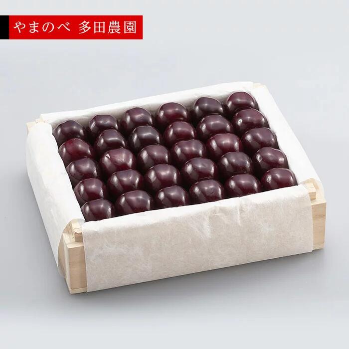 【ふるさと納税】《2026年先行予約》【特選サミット】桐箱詰 約500g【やまのべ多田耕太郎のさくらんぼ 多田農園】期間限定 数量限定 山形県産 サクランボ フルーツ 果物 くだもの 贈答 F4A-0022