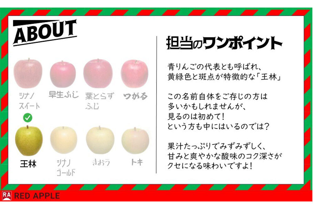 【26年12月発送】りんご 13度糖度保証【訳あり】家庭用 王林 約5kg 先行受付  [アップル おいしい りんご 王林 黄色 果実 果物 糖度 美味 林檎]