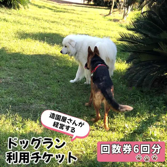 ドッグラン利用チケット　回数券6回分 ／ 愛犬 ペット 運動 カフェ 山口県 No.183