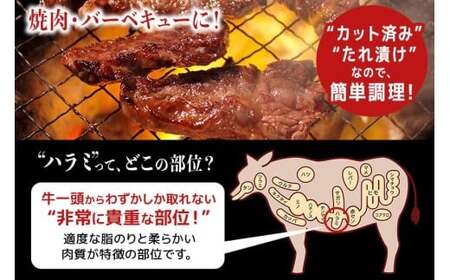 ハラミ 1kg (250g×4パック)  味付  牛肉 【ハラミ】【ho1468-1】