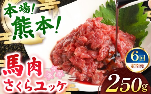 【定期便 6回】馬肉さくらユッケ 250g ( 50g × 5 ) | 肉 にく お肉 おにく 馬 馬肉 馬肉ユッケ さくらユッケ 定期 定期便 熊本県 玉名市