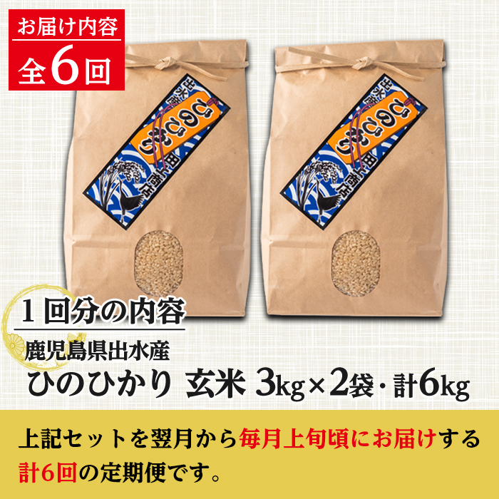 i542 ＜定期便・計6回(連続)＞鹿児島県出水市産ひのひかり玄米＜(3kg×2袋・計6kg)×全6回＞ 米 玄米 お米 6kg 計36kg 定期便 国産 ヒノヒカリ おにぎり 自家脱穀 ごはん お米マイスター 厳選 【田上商店】