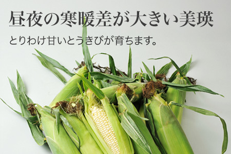 とうもろこし 北海道  先行予約 スイートコーン 白 12本 とうもろこし