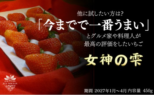 
                  [№5308-0540]＜先行予約＞「今までで1番うまい」とグルメ家がうなったイチゴ【女神の雫】 450g 2027年 1月 2月 3月 4月 450g 岐阜県 美濃市 じゅん農産 1 苺 イチゴ いちご フルーツ 甘い 旬 お取り寄せ
                