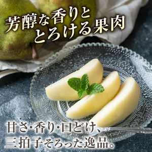 ≪先行受付≫ラ・フランス 5kg 14個～20個【2025年11月上旬～順次発送予定】 057-002