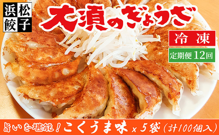 【定期便12回】浜松餃子 大須のぎょうざ［ 浜松ぎょうざ とまらぬコクと旨いを堪能！＜ こくうま味 ＞］× 5袋（1袋20個入、合計100個） 